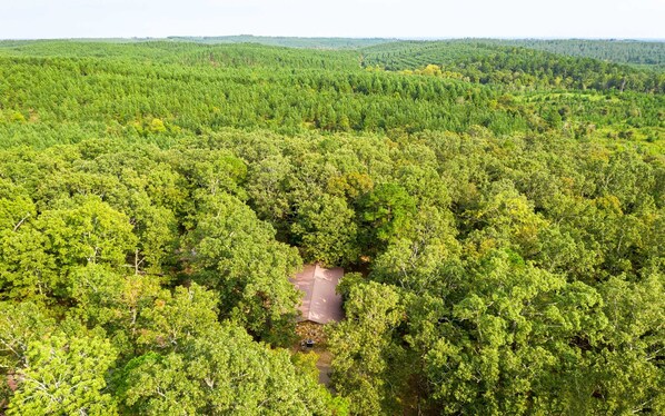 Total privacy, surrounded by nature. 🍃🌲 Tucked away in the forest, this cabin is the perfect escape from the hustle and bustle.