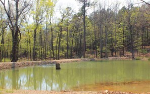 Your private lakeside retreat. 🌊🏕️ Spend the day fishing, kayaking, or simply soaking in the tranquility of the water