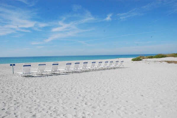Longboat Key Beach 