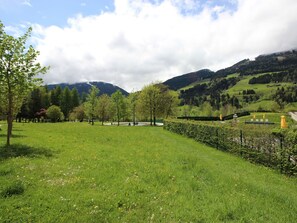 Mountainous Landforms, Green, Mountain, Tree, Grass, Natural Environment, Nature, Hill, Grassland, Natural Landscape