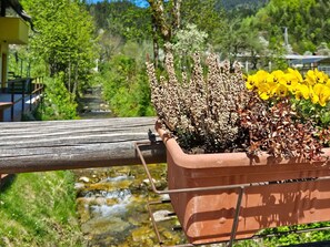 Jardin, Pot De Fleur, Plante Herbacée, Plante D'Appartement, Aménagement Paysager, Mobilier De Jardin, Herbe, Arrière-Cour