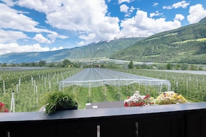Blick von der Unterkunft
