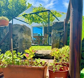 View from garden