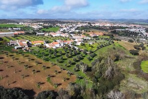 Drone above (1)