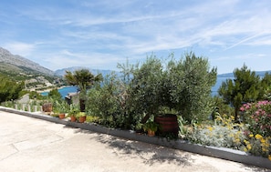 view-from-room