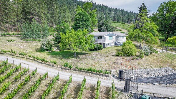 Naramata Vineyard Cottage