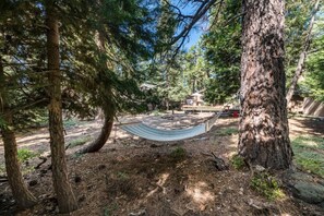 Spacious Backyard