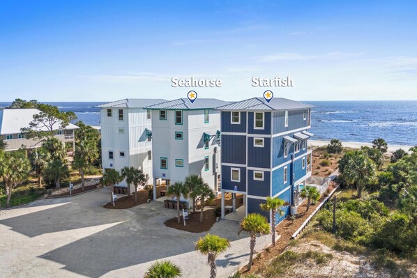 Indian Pass Beach House - Seahorse and Starfish