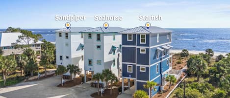 Indian Pass Beach House - Seahorse Family