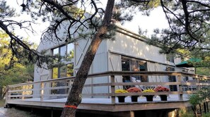 Cape Cod Classic Wellfleet Vacation Home Walk to Beach