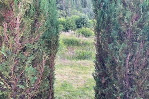 Boendeområde