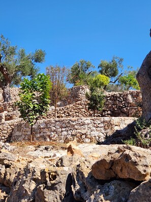 Terraced gardens.