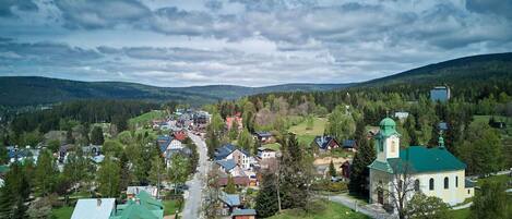 Tree, Landscape, House, Rural Area, Roof, Hill Station, Home, Cottage, Village, Larch