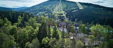 Arbre, Montagnes, Colline, Station De Montagne, Paysage, Forêt, Chaîne De Montagnes, Mélèze, Pente, Vallée