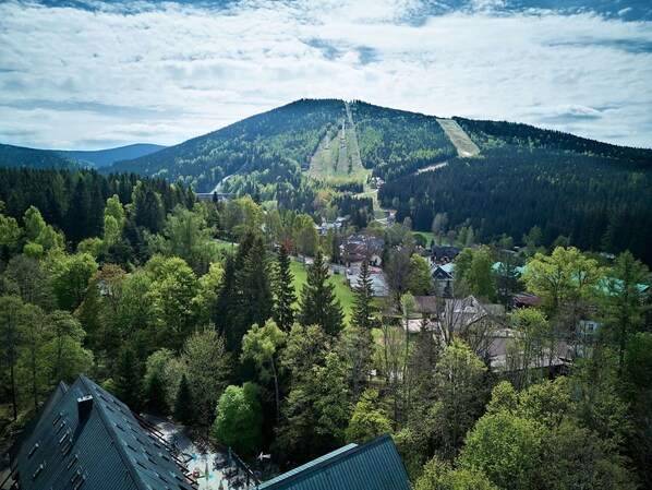 Baum, Hochland, Hügel, Bergstation, Landschaft, Wald, Gebirge, Lärche, Steigung, Senke