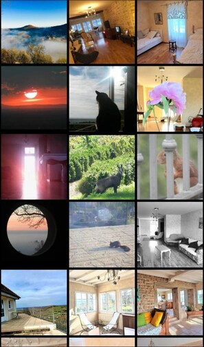 Miscellaneous