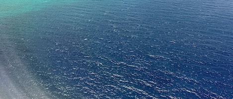 Vista desde la propiedad