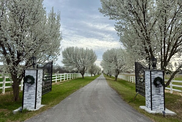 Parco della struttura