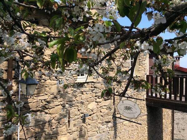 Exterior detail