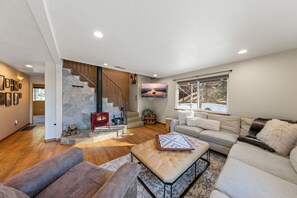 Living Room Wood Burning Stove