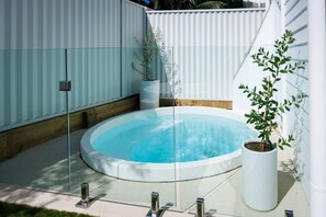 Private plunge pool Villa 2