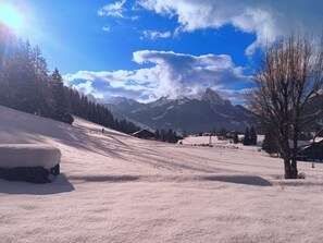 snowy landscape
