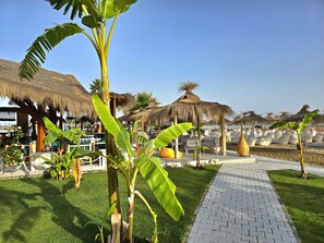Resort