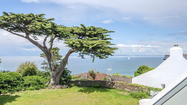 View from the house