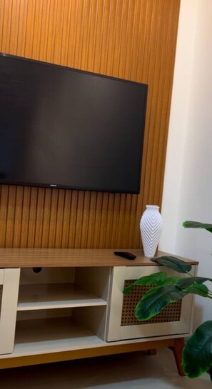 Télévision