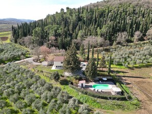 Shrub, Landscape, Rural Area, Plant Community, Land Lot, Estate, Hill Station, Forest, Cottage, Plantation