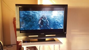 Television