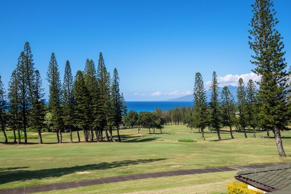 Step out onto your private lanai and follow the gentle walking path toward sweeping ocean views.