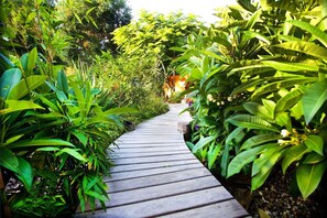 Tula Suite Pathway