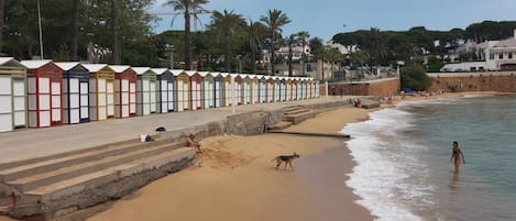 Strand
