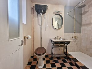 Private large walk-in shower room, basin and loo.