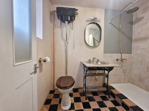 Private large walk-in shower room, basin and loo.