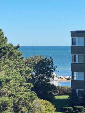 View from the living room and private balcony.