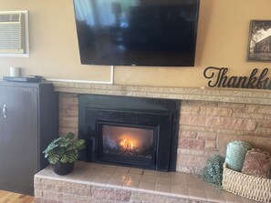 Gas fireplace