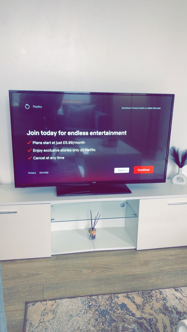 Television