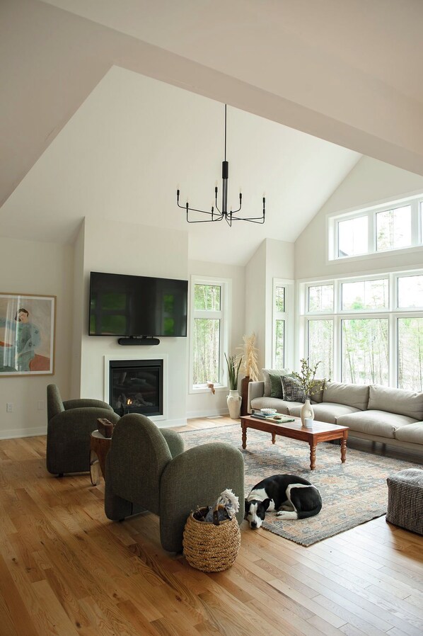 Living Room (1)