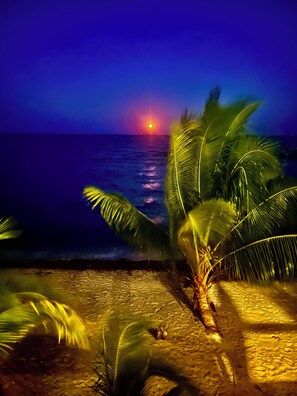 Beach/ocean view