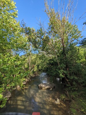 Serene creek flowing through the property, perfect for quiet reflection or nature walks.