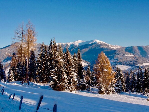 Verditzhütte