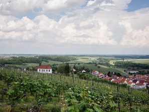 Ferienwohnung Gaby - im Weingut Doll