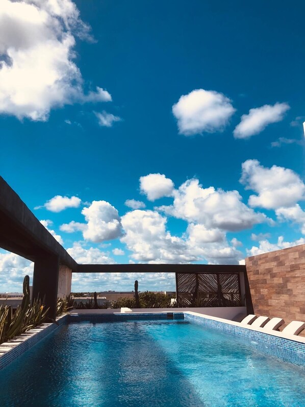 Rooftop swimming pool, loungers and showers