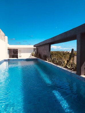 Rooftop swimming pool and gym