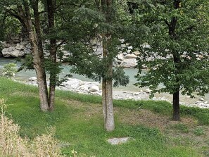 Arbre, Arbuste, Couverture De Sol, Tronc, Des Bois, Suppression Des Plantes Ligneuses, Ombre, Jardin, Bosquet, Parc