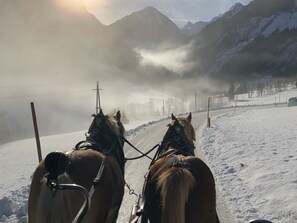 Snow and ski sports