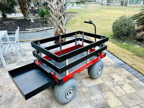 Electric Beach Wagon