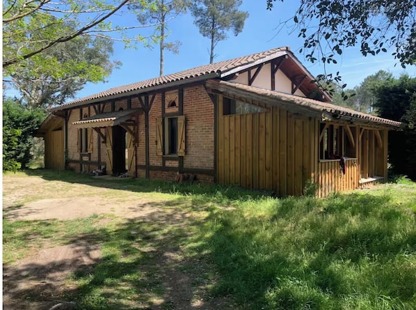 Exterior